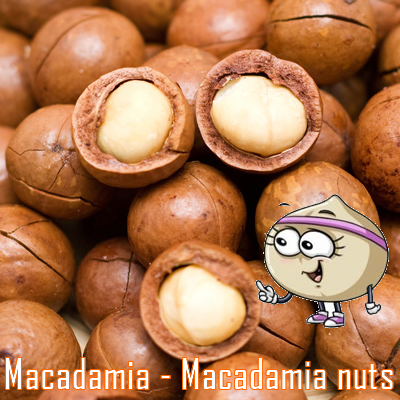macadamia bogota nuez buffet
